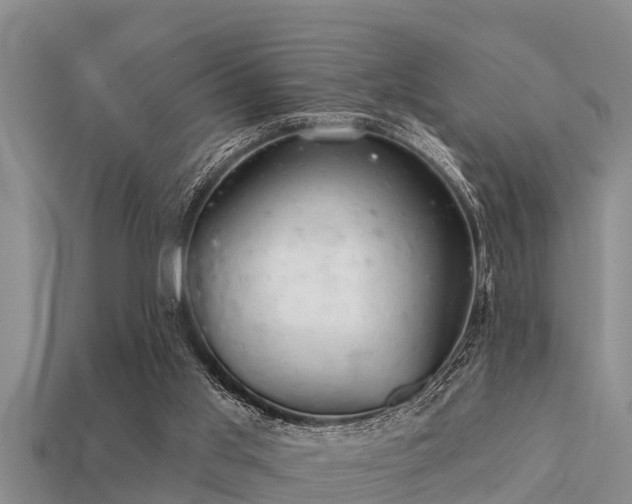 X0000113200013200909171523