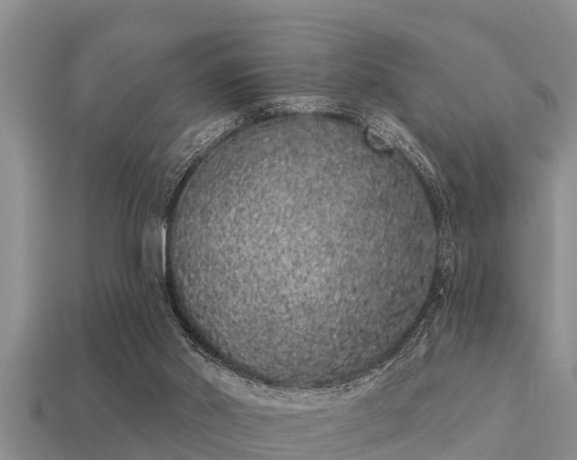 X0000113200014200909171523