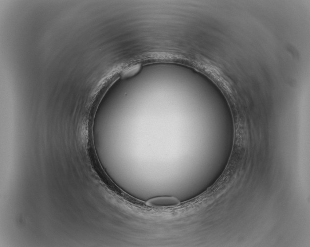 X0000113200015200909171523