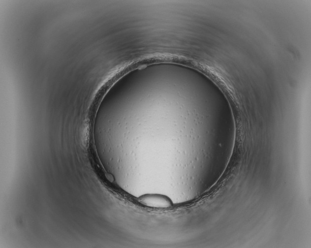 X0000113200016200909171523