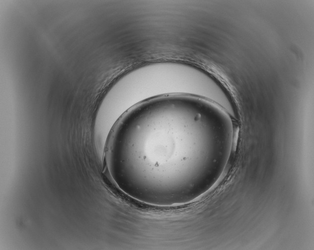 X0000113200017200909171523