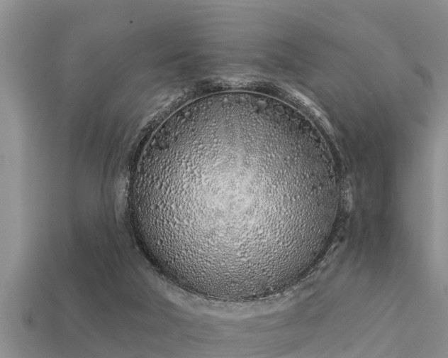 X0000113200018200909171523