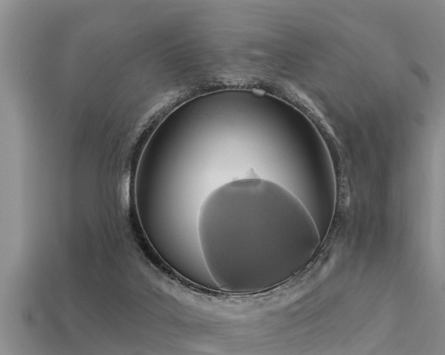 X0000113200019200909171523