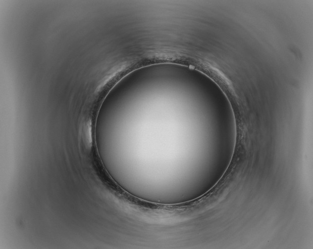 X0000113200020200909171523