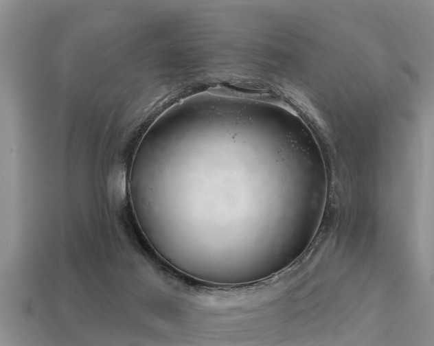 X0000113200021200909171523