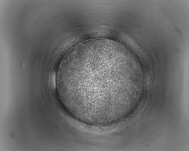 X0000113200022200909171523
