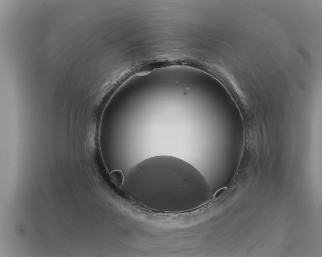 X0000113200023200909171523