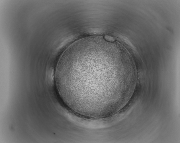 X0000113200024200909171523