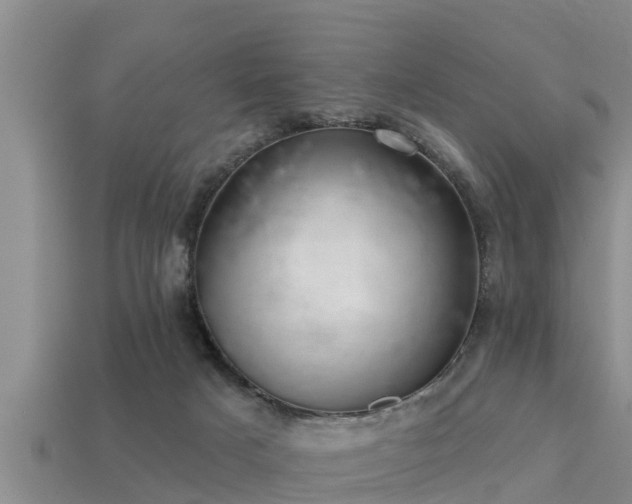 X0000113200025200909171523