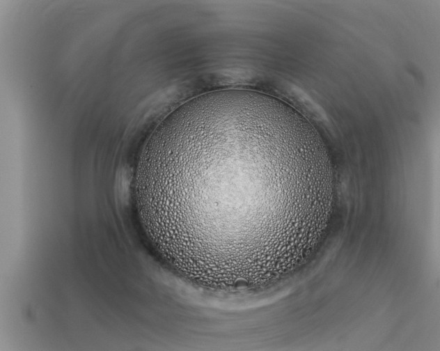 X0000113200026200909171523