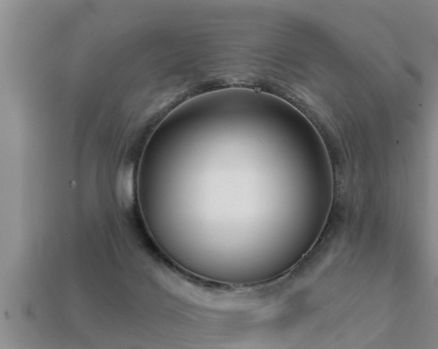 X0000113200028200909171523