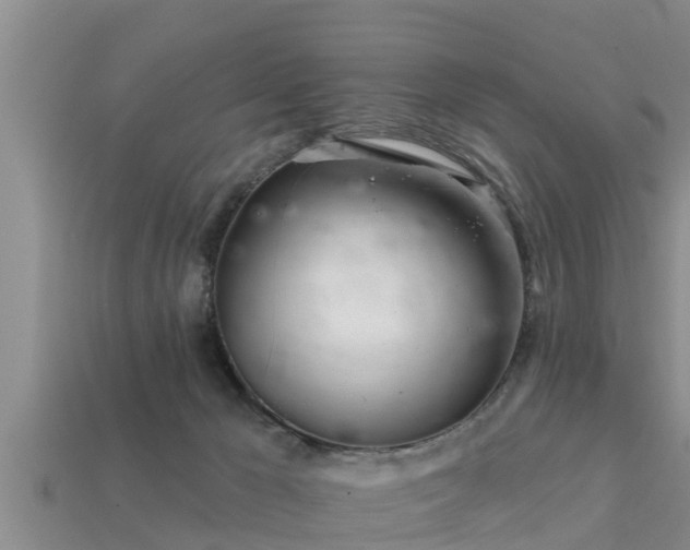 X0000113200029200909171523