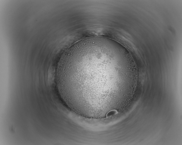 X0000113200030200909171523