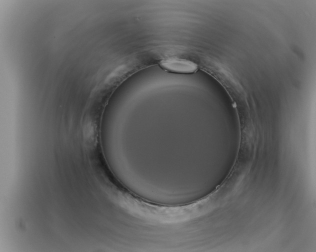 X0000113200031200909171523