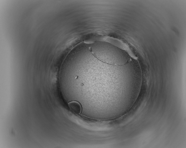 X0000113200032200909171523