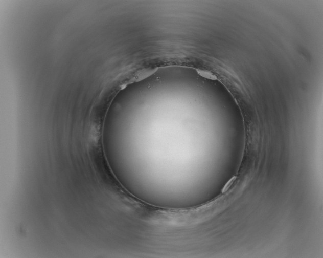 X0000113200033200909171523