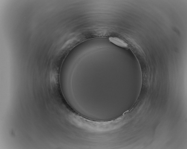 X0000113200035200909171523