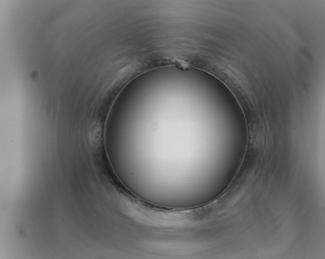 X0000113200036200909171523