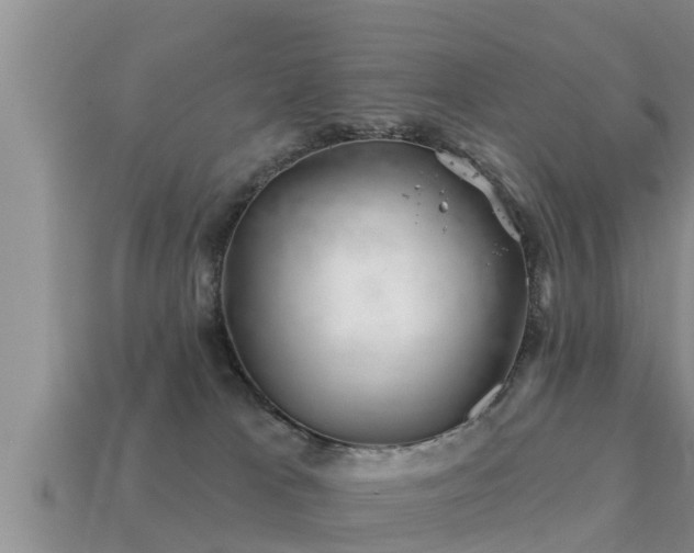 X0000113200037200909171523