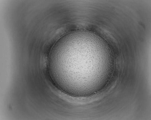 X0000113200038200909171523