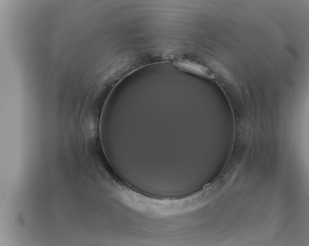 X0000113200039200909171523