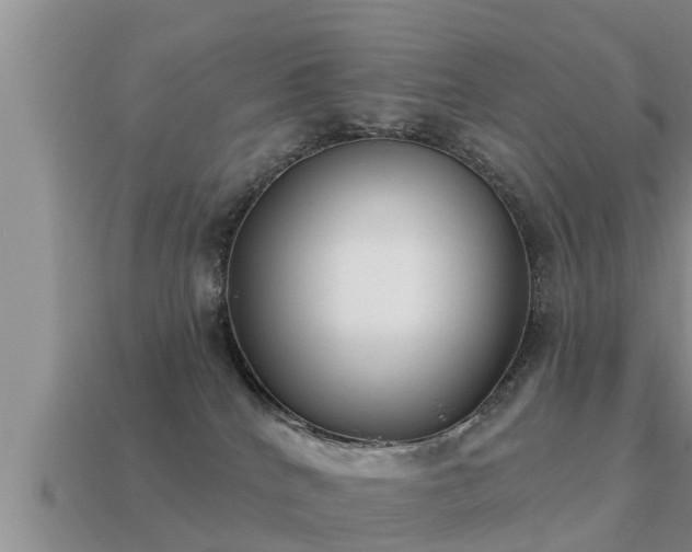 X0000113200040200909171523