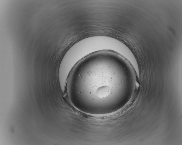 X0000113200041200909171523