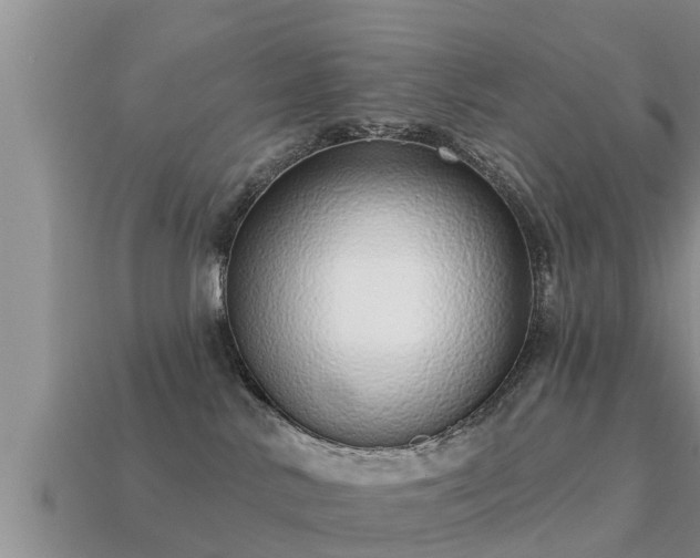 X0000113200042200909171523