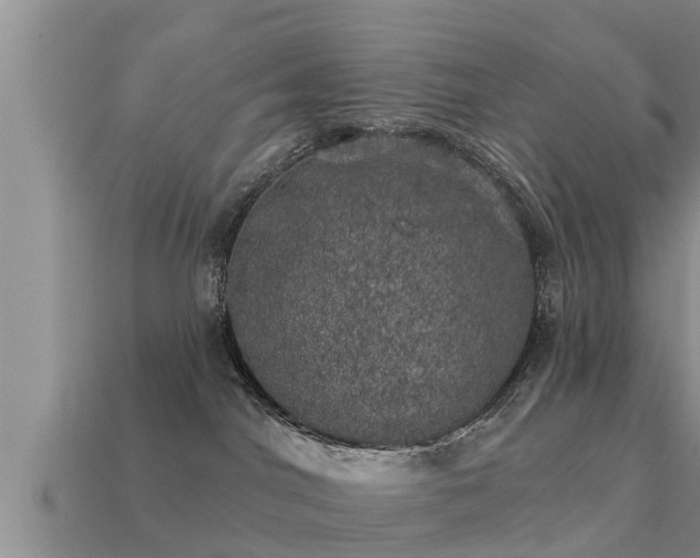 X0000113200044200909171523