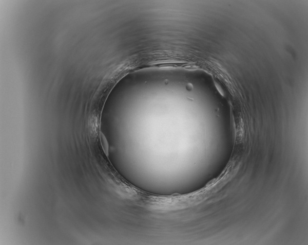 X0000113200045200909171523