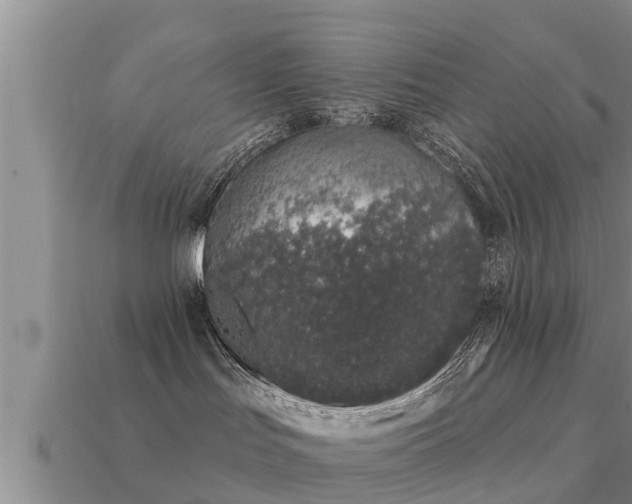 X0000113200047200909171522