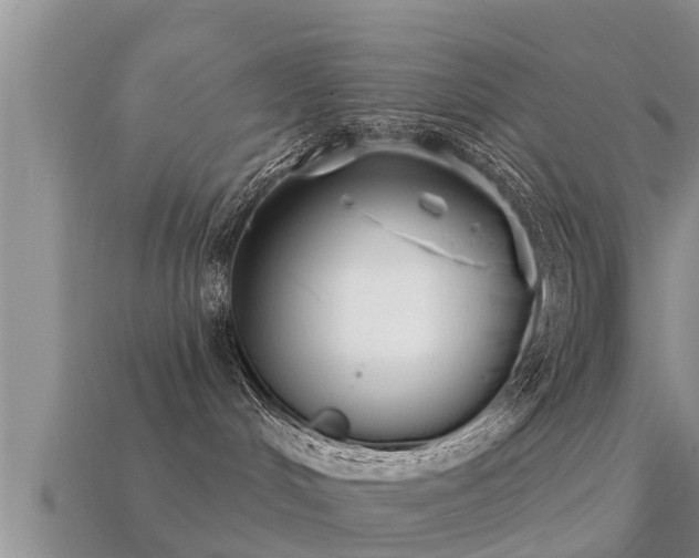 X0000113200048200909171522