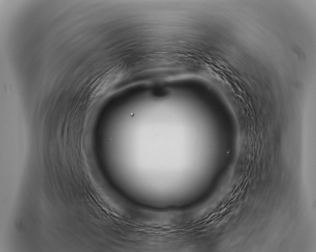 X0000113200049200909171522