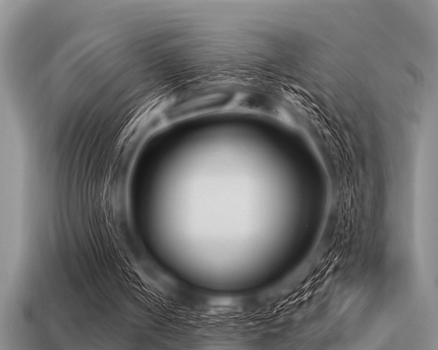 X0000113200050200909171522