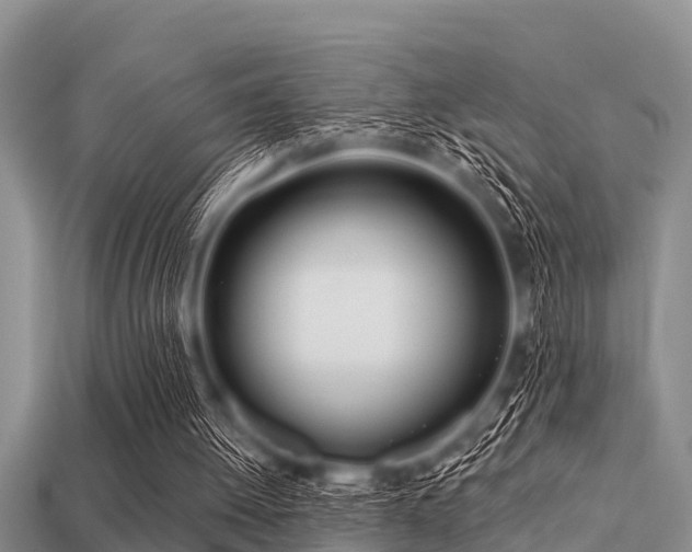 X0000113200052200909171522