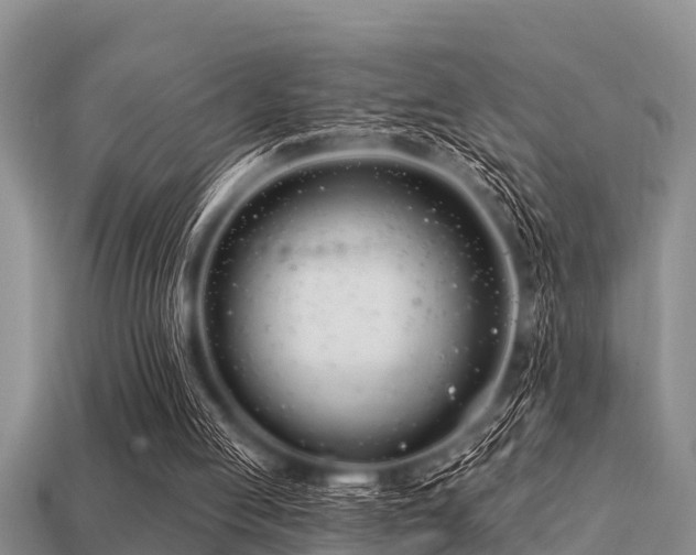 X0000113200053200909171522