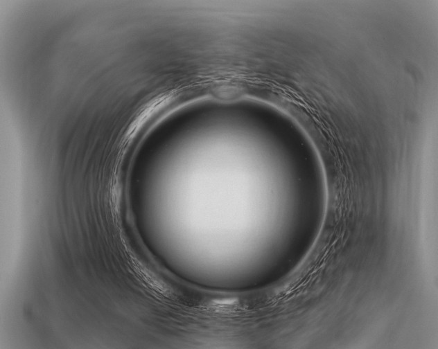 X0000113200054200909171522