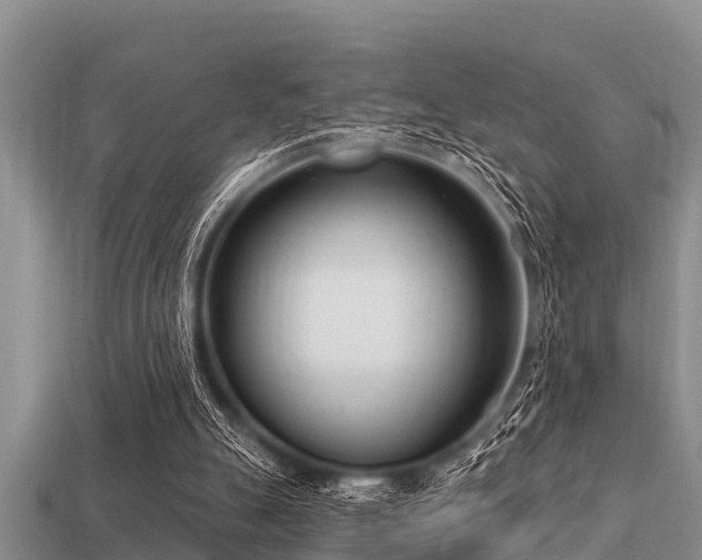 X0000113200055200909171522