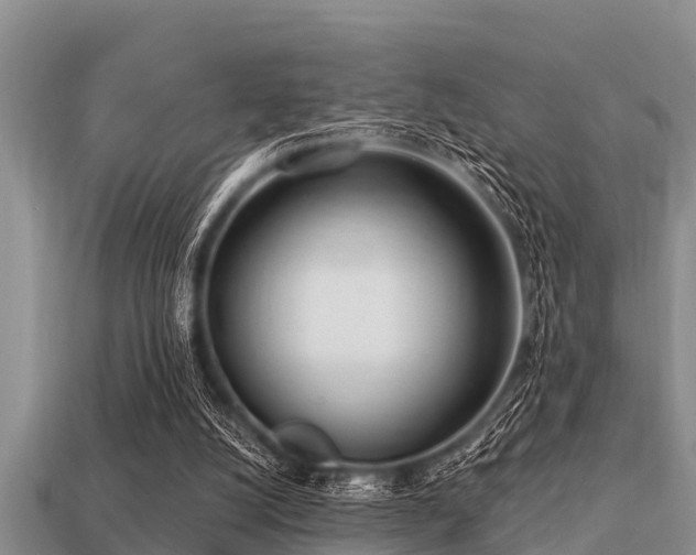 X0000113200056200909171522