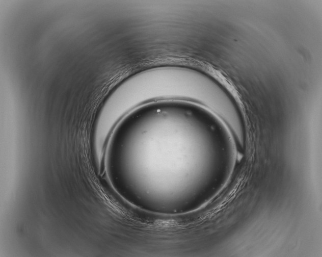 X0000113200057200909171522