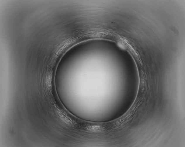 X0000113200058200909171522