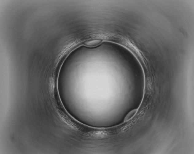 X0000113200059200909171522