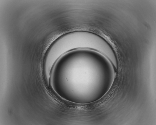 X0000113200060200909171522