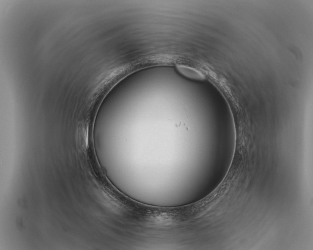 X0000113200062200909171522