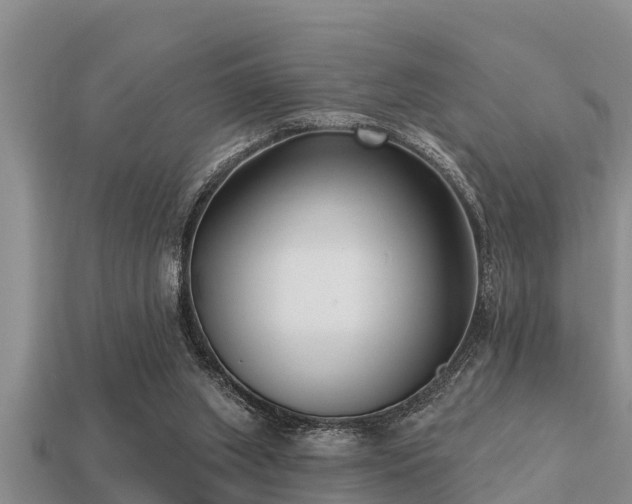 X0000113200063200909171522