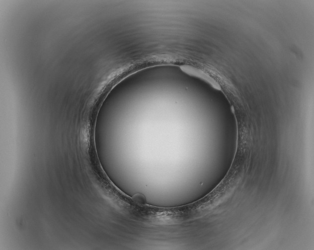 X0000113200064200909171522