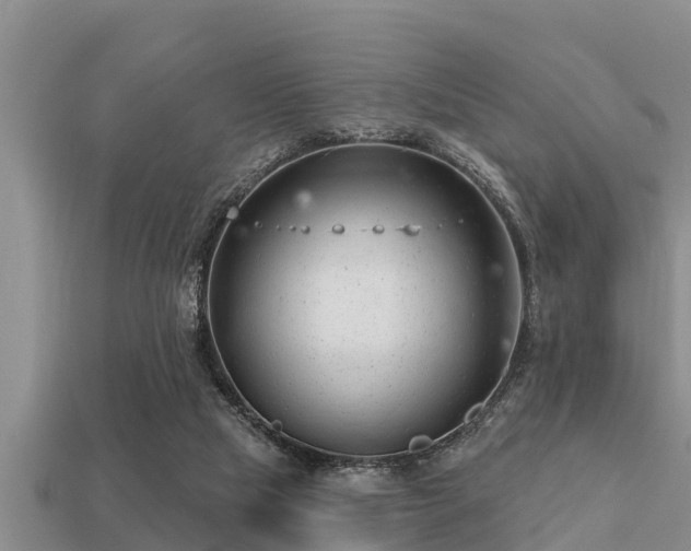 X0000113200065200909171522