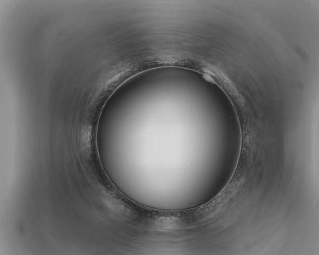 X0000113200066200909171522