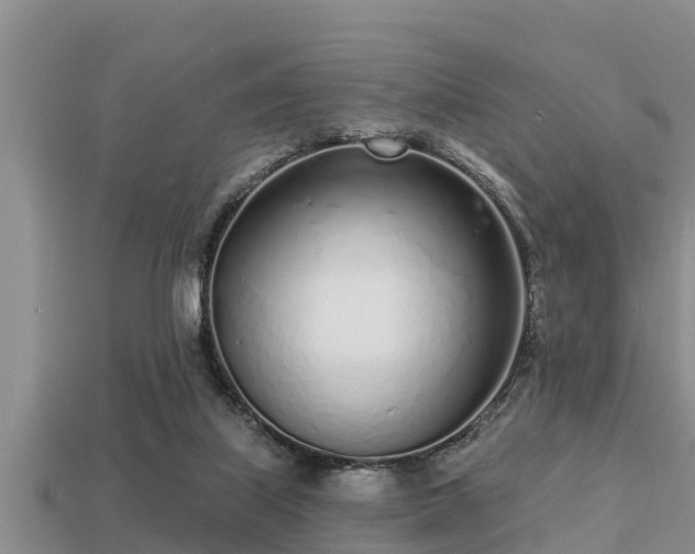 X0000113200067200909171522