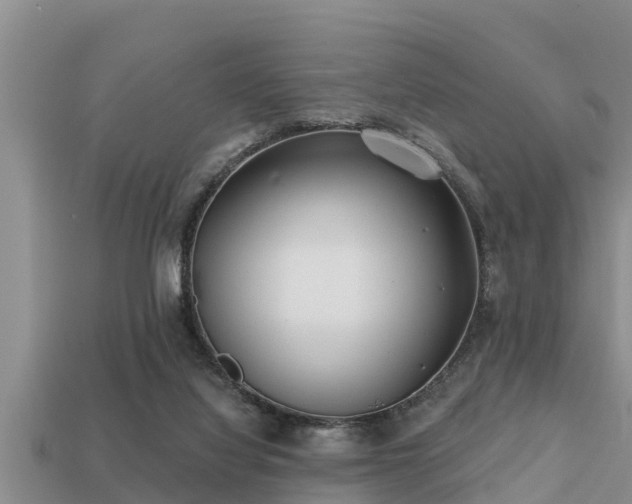 X0000113200068200909171522